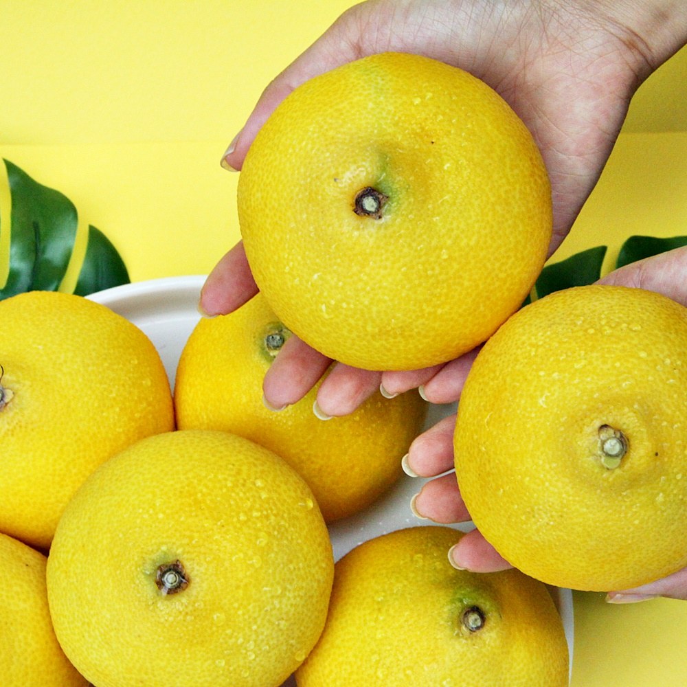 🍊 껍질째 향긋한, 제주 황금향