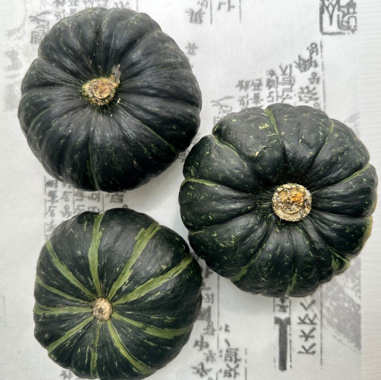🎃 달콤포슬한, 제주 보우짱 밤호박