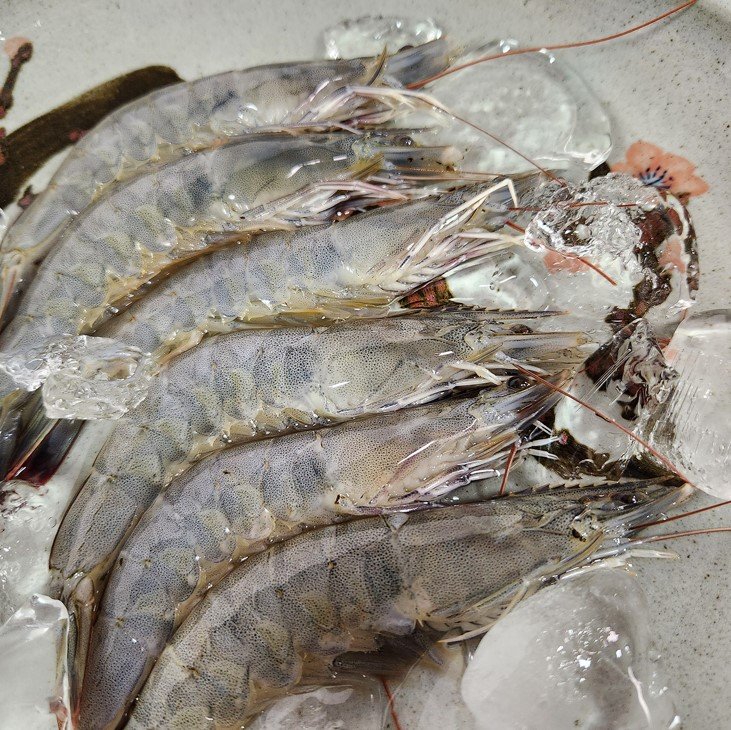 🦐 탱글한 국내산, 손질 흰다리새우