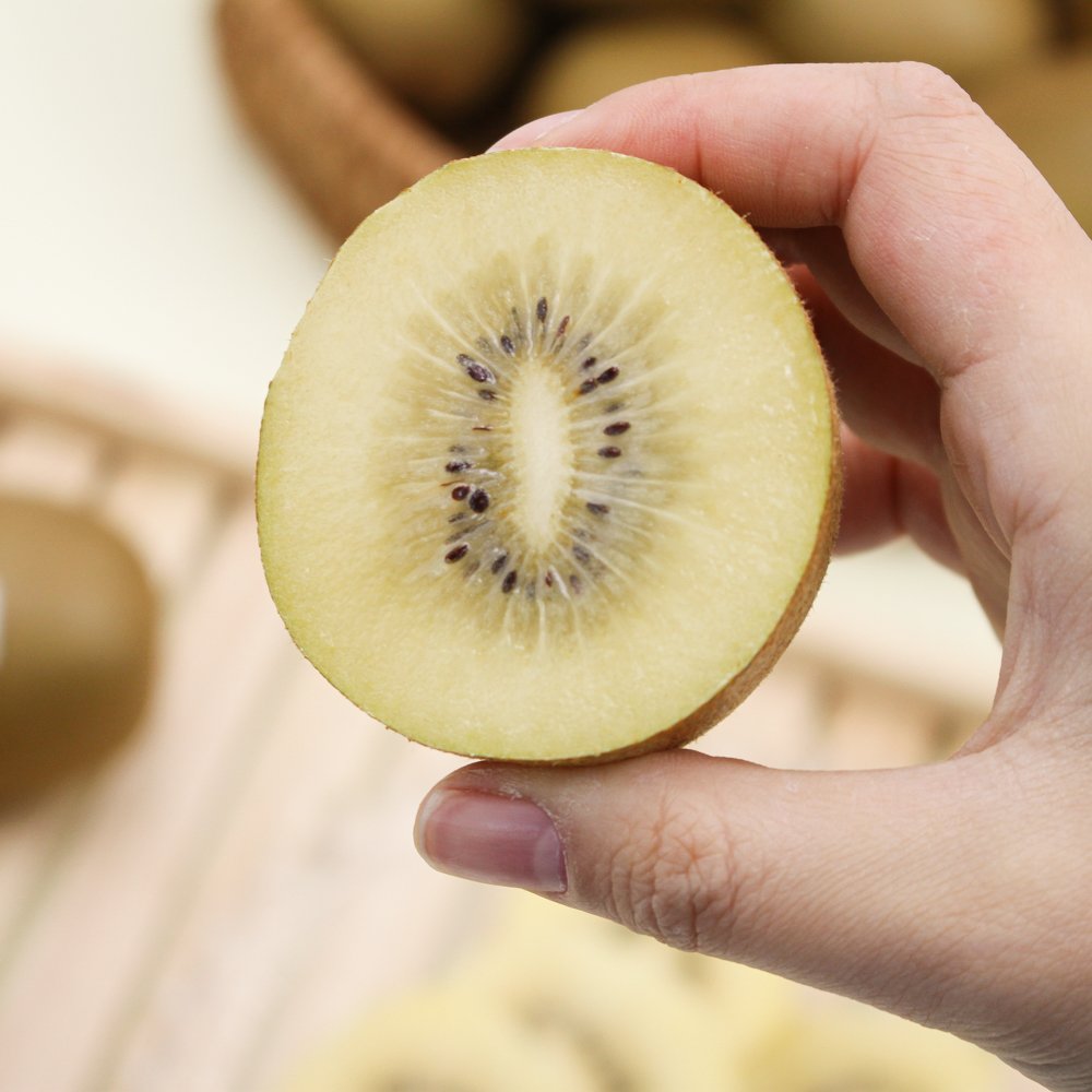 🥝 새콤달콤 비타민, 제스프리 골드키위