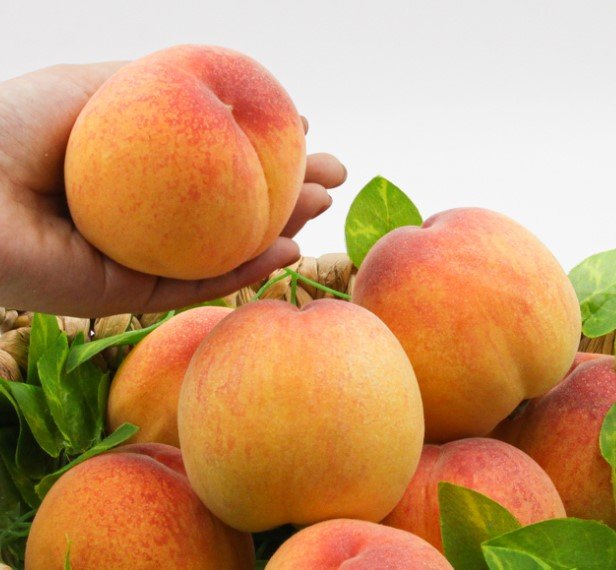 🍑 말랑하게 녹는 단맛, 당도선별 말랑이 털복숭아