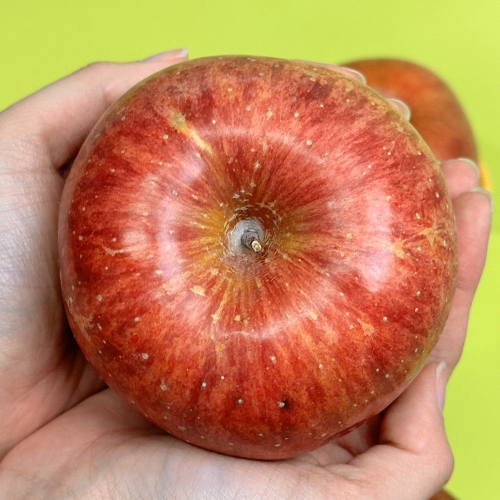 🍎 과즙 가득 프리미엄, 경북 부사사과 정품