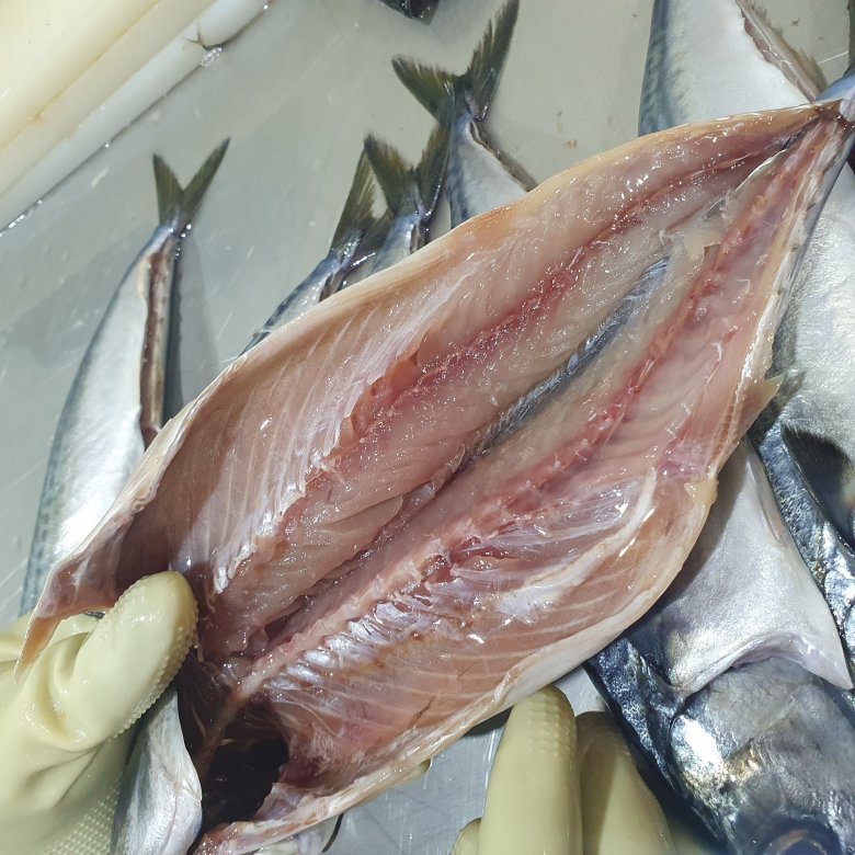 🐟 노릇하게 구워먹는, 손질 자반 고등어