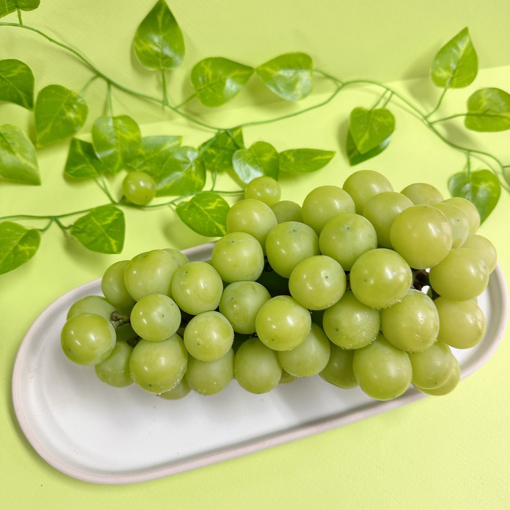 🍇 아삭 달콤 씨없는, 샤인머스캣