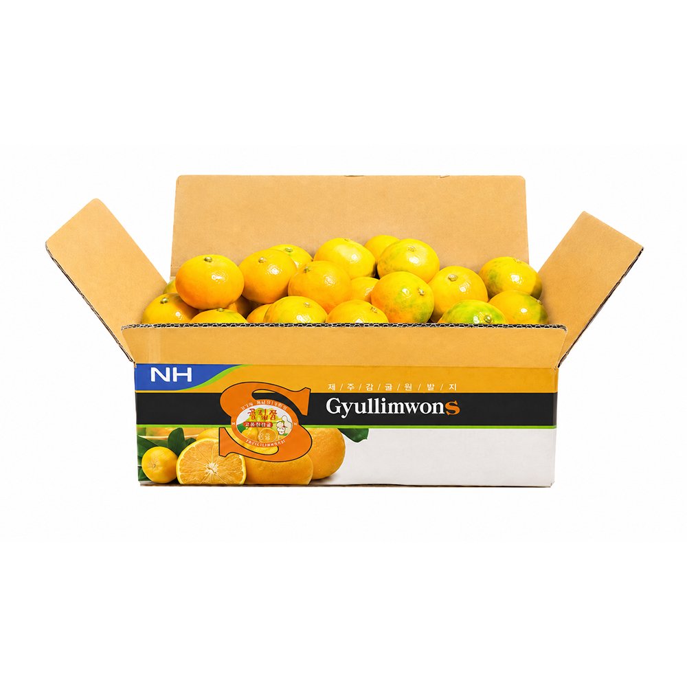🍊 당도로 고른 제주, GAP 큘림원 하우스감귤