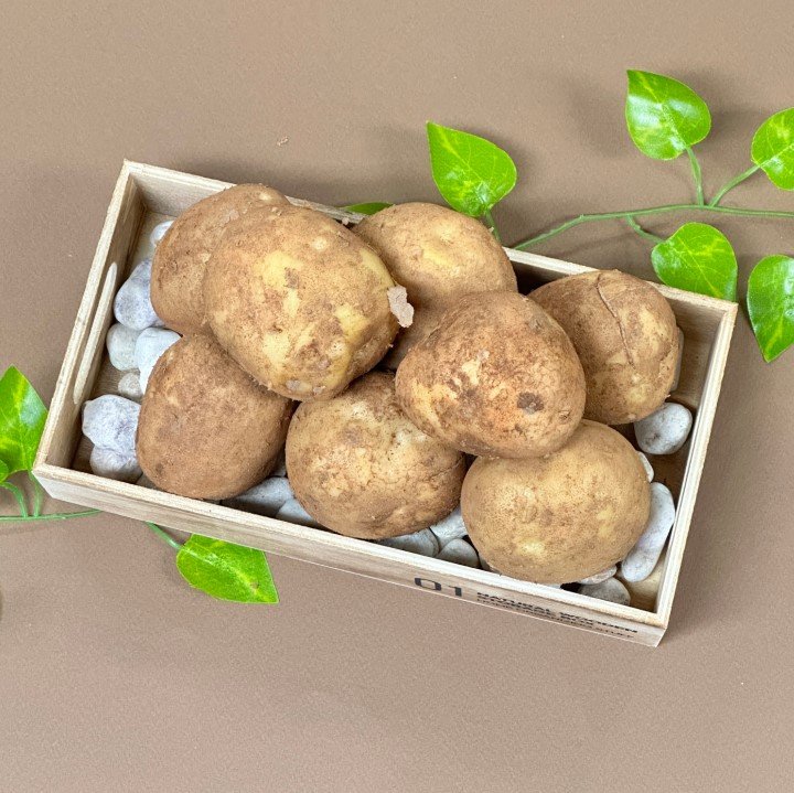 🥔 올해 첫 수확, 2026 햇감자