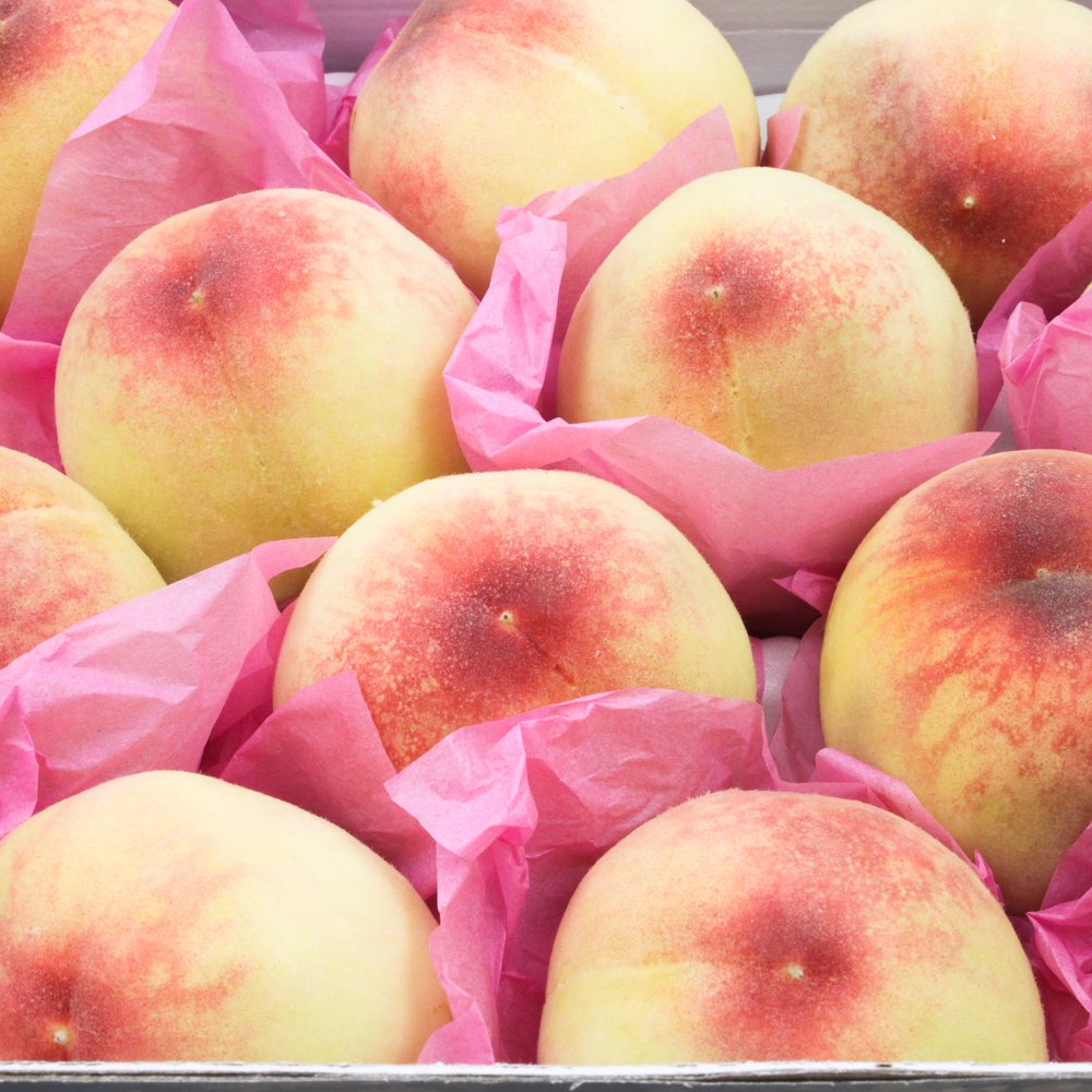 🍑 아삭한 그 맛, 딱딱이 백도복숭아