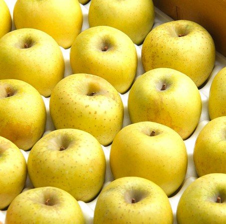 🍏 아삭 시원한 황금사과, 시나노골드 실속형
