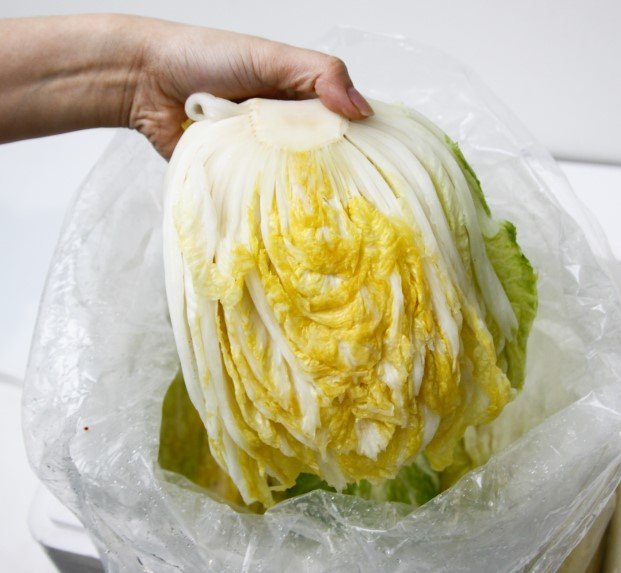 🥬 김장 준비 끝, 해남 절임배추