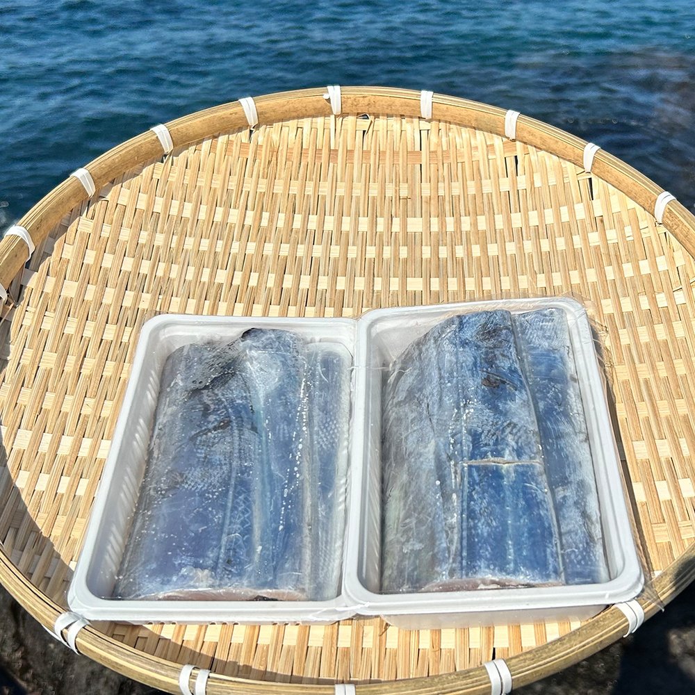 🐟 제주 바다 한 상, 은갈치·고등어·삼치·옥돔 세트