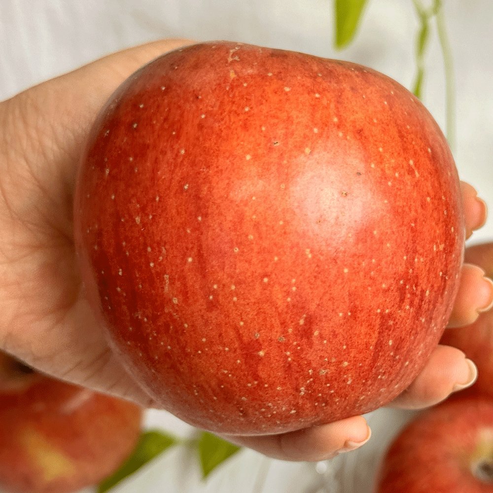 🍎 크고 균일한 상급, 부사사과 실속A급